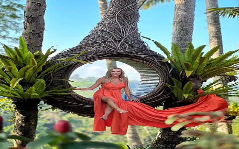 jungle swing jungle swing